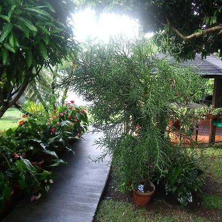 Les Agapanthes Villa Le Tampon Dış mekan fotoğraf
