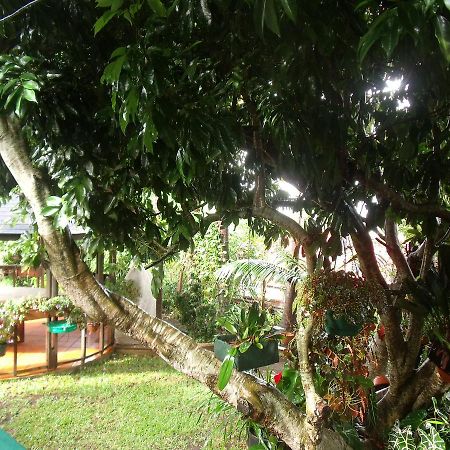 Les Agapanthes Villa Le Tampon Dış mekan fotoğraf