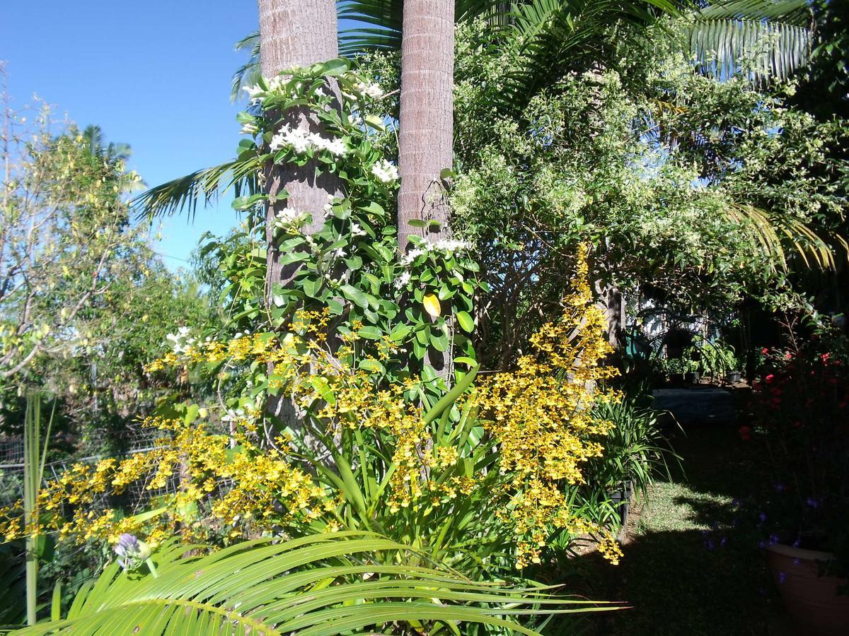 Les Agapanthes Villa Le Tampon Dış mekan fotoğraf