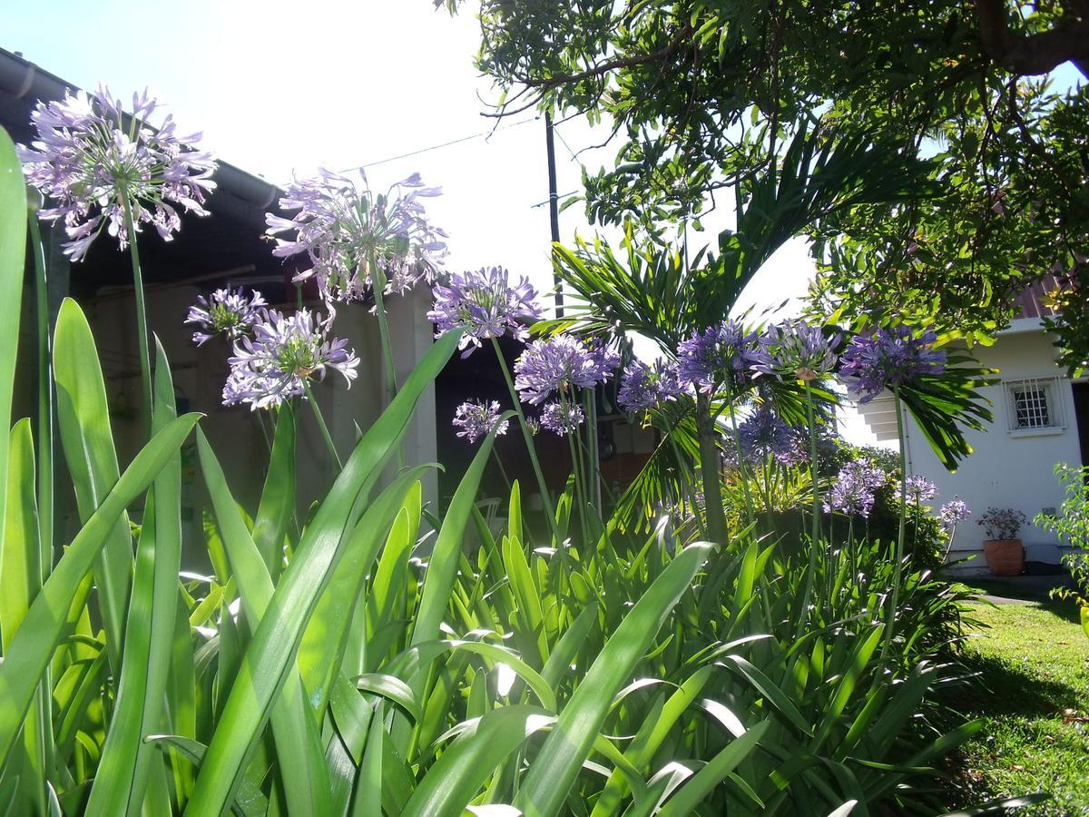 Les Agapanthes Villa Le Tampon Dış mekan fotoğraf
