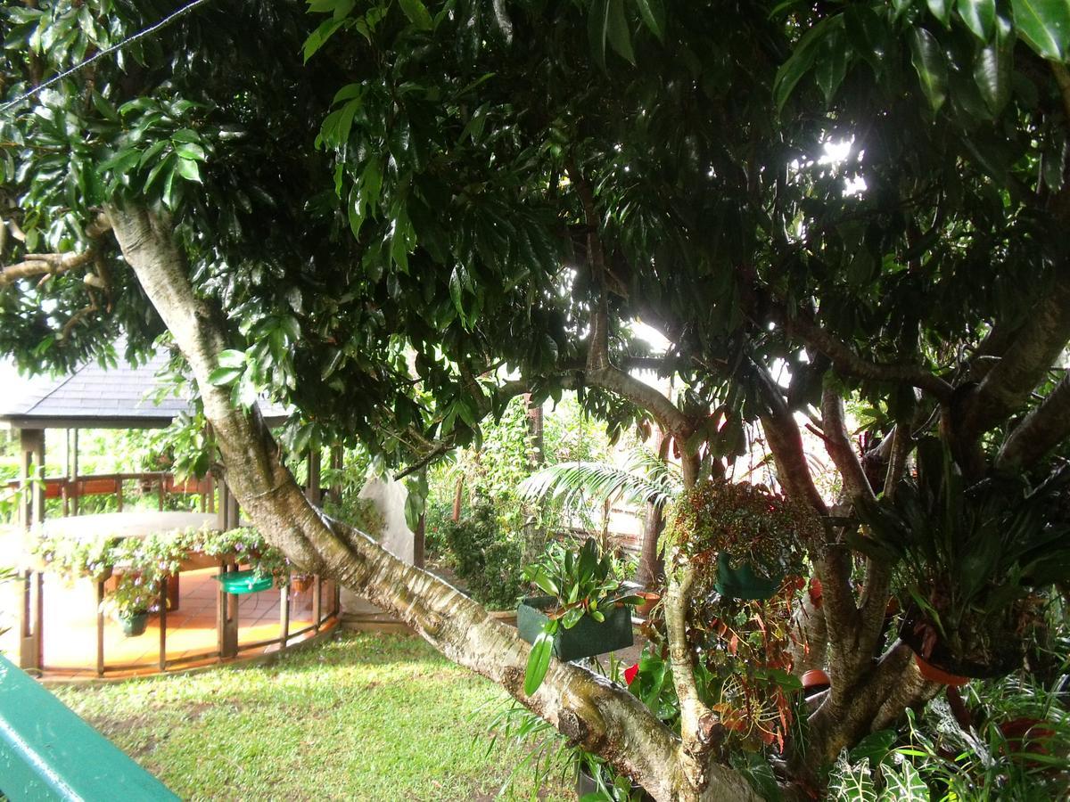 Les Agapanthes Villa Le Tampon Dış mekan fotoğraf